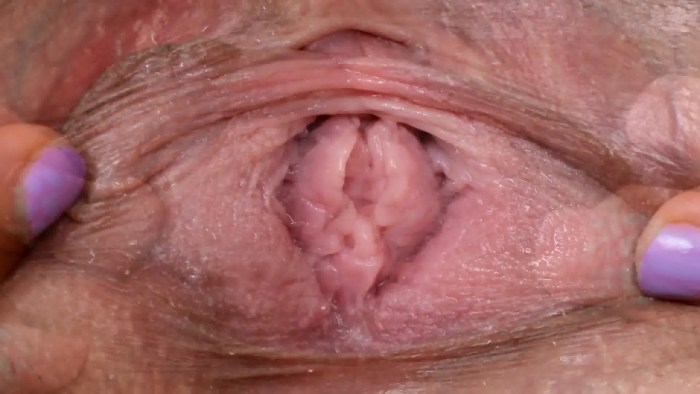 Women's vaginas from the inside