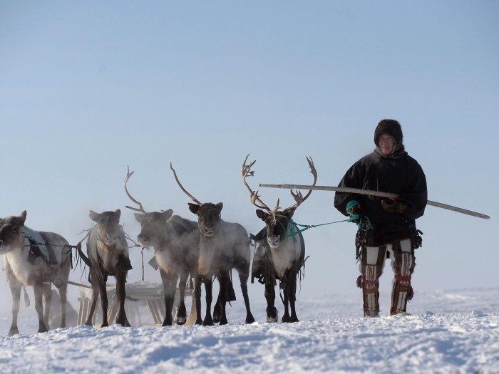 Carriage of plague on sledges