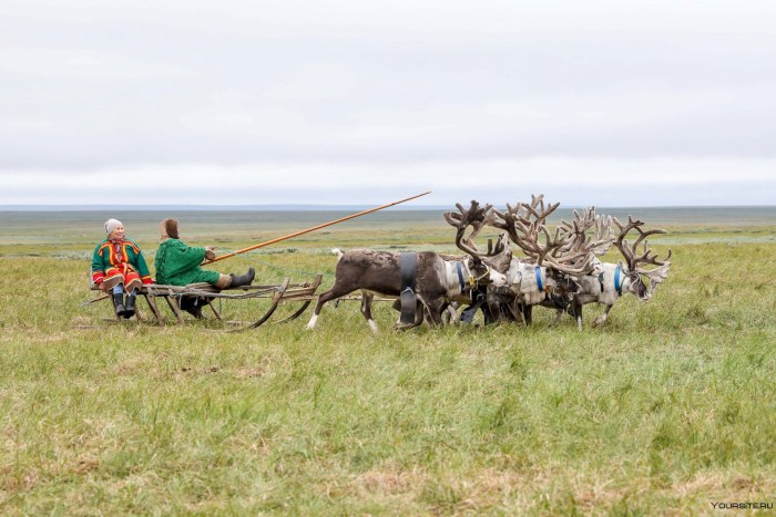 Reindeer herders on the map