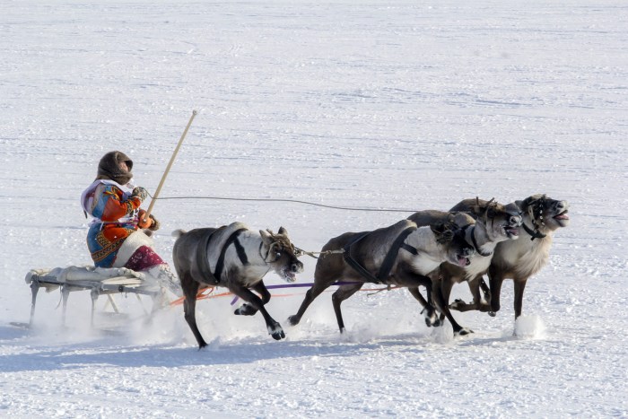 Vorkuta Nenets