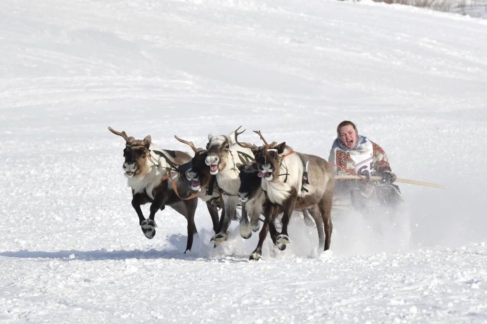 The main classes of the peoples of Siberia