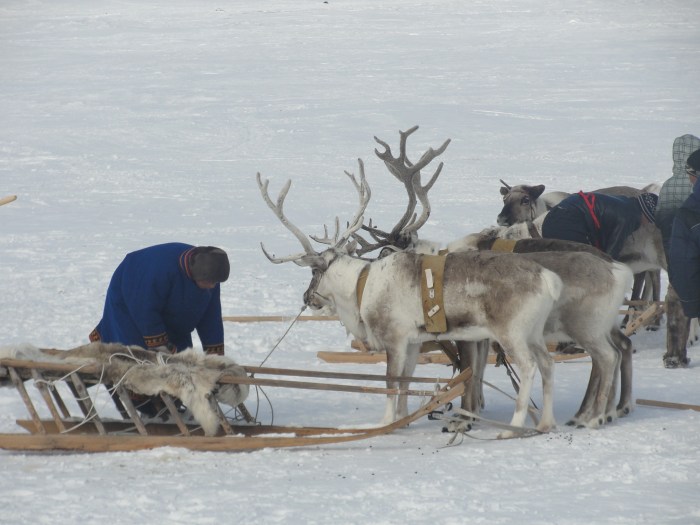 Reindeer herders of the Russian North