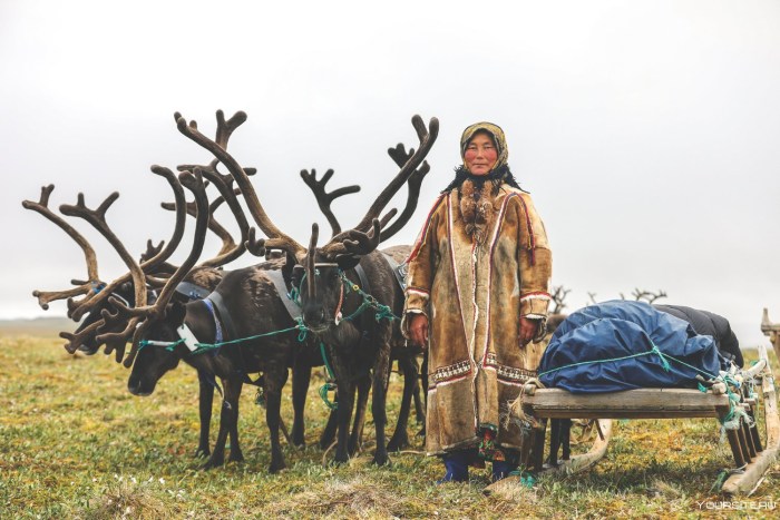 Life for a polar circle