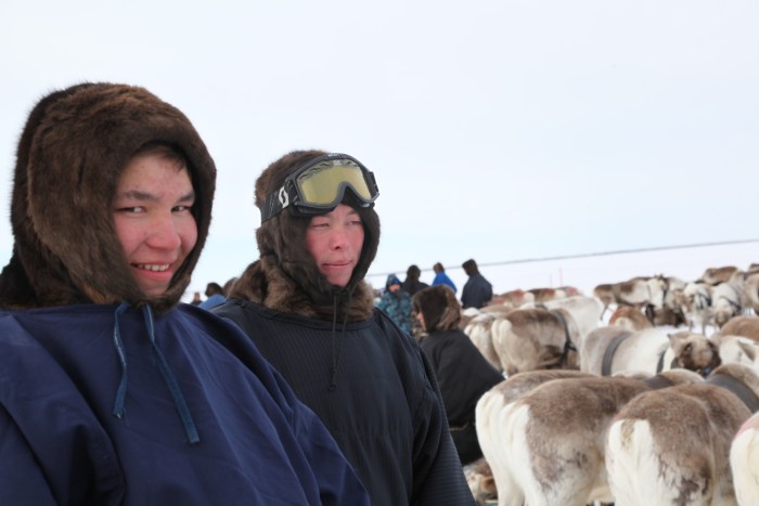 Yamal pictures photo