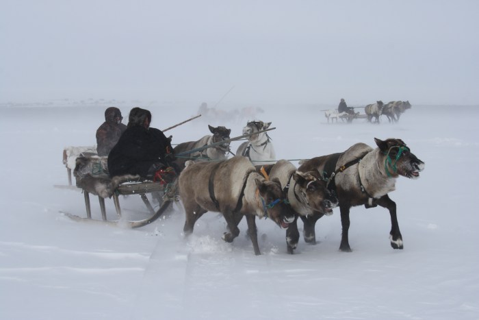North-Evensky district of the Magadan region