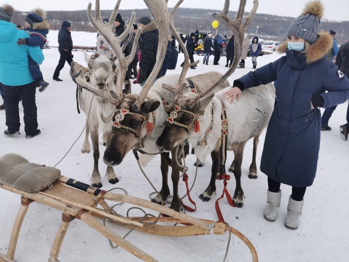 Reindeer herders Baidarastskaya tundra