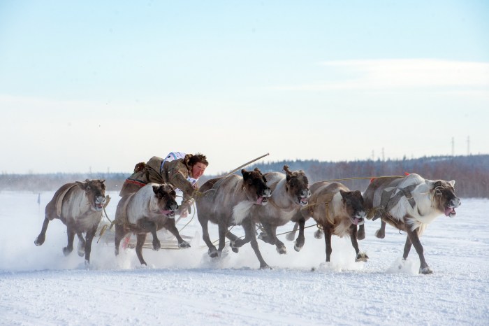 The Union of Reindeer Hands of the NAO