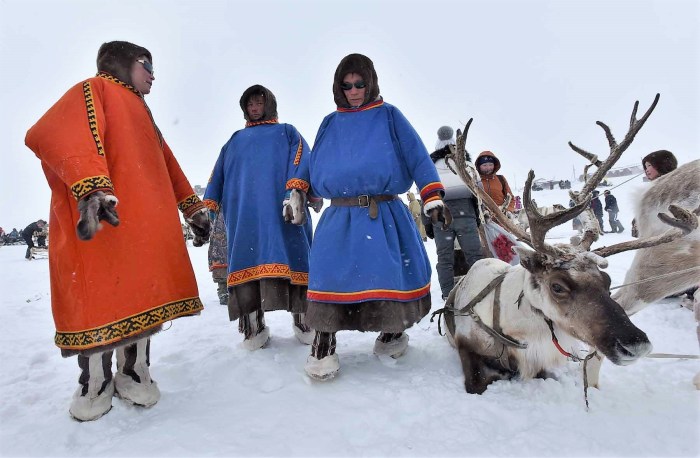Deer team in the Arctic