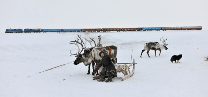 Health of the indigenous population of the Arctic