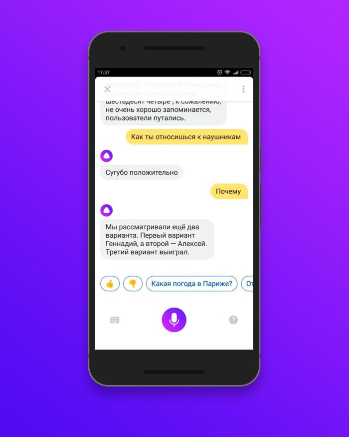 Alice Voice Assistant Voice Assistant