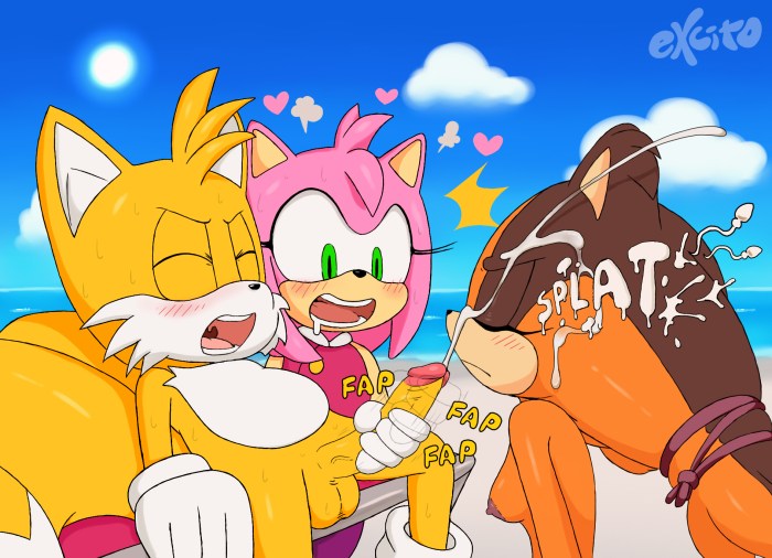 Sonic and Amy Rose The Badger Hentai