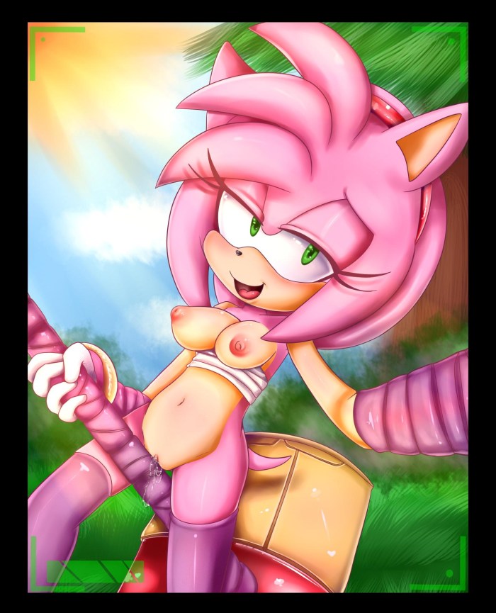 Boom Sonic Boom Amy Hentai