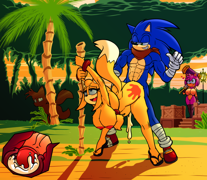 Fox Zoui Sonic Boom Hentai Tails