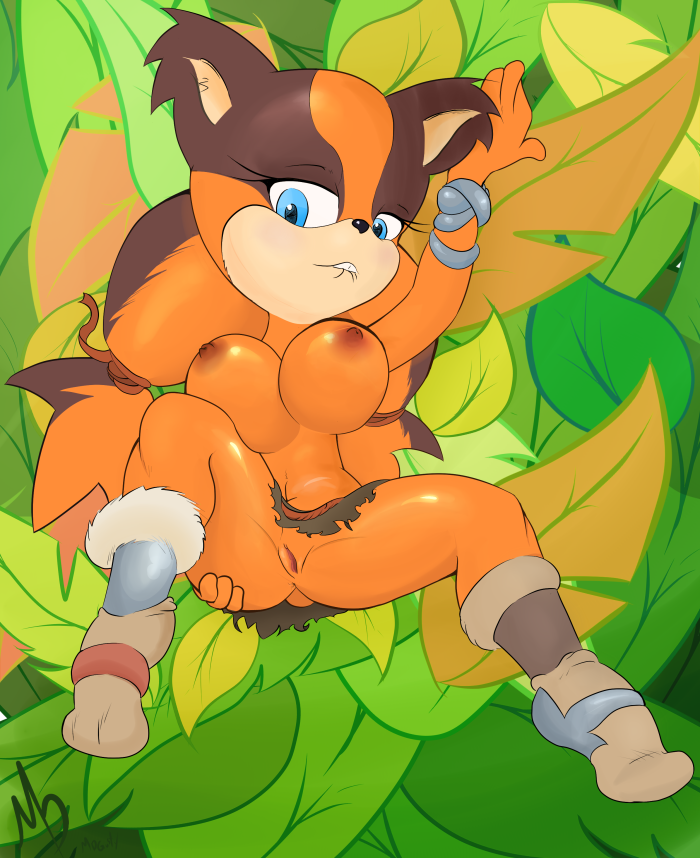 Sonic Sticks The Badger Hentai BDSM