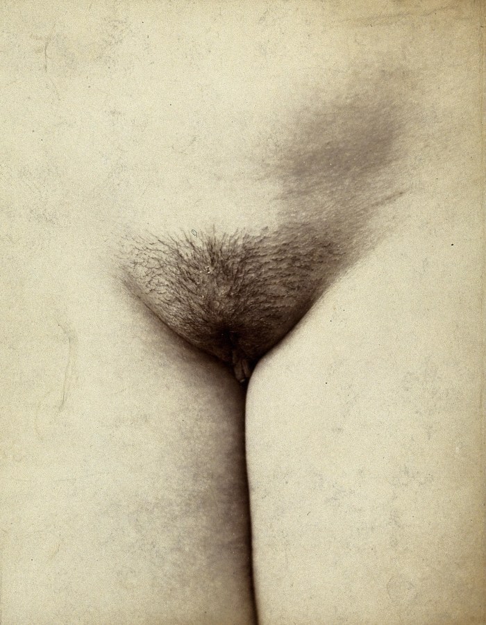 Shaved pussies in thongs