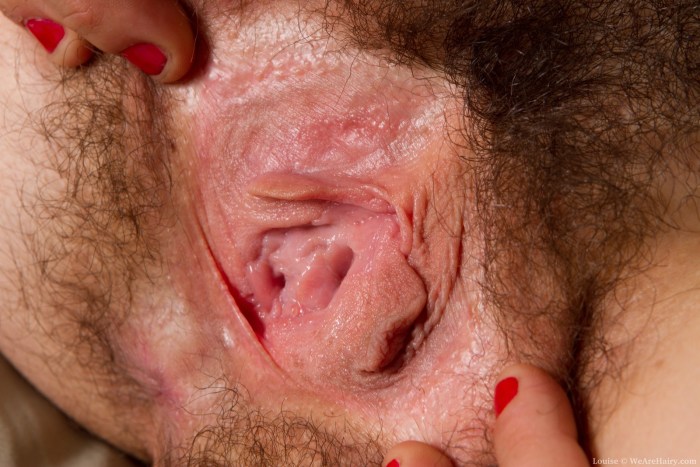 Close -up