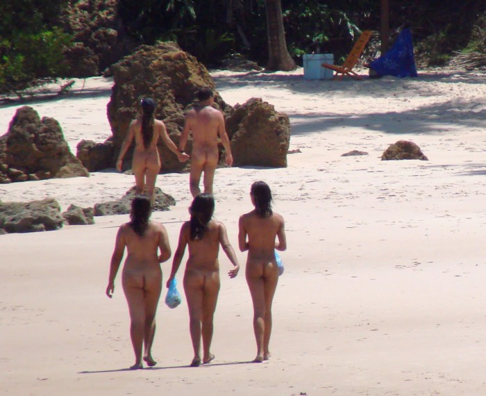 Nudisian beaches of Brazil