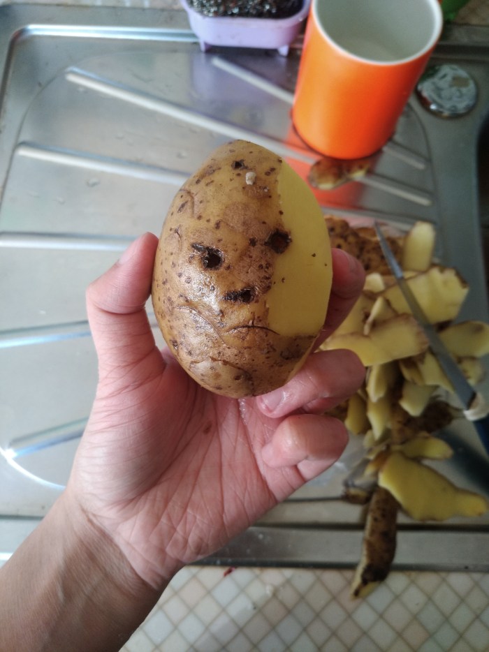 Potatoes 2021 Buy in Krasnoyarsk