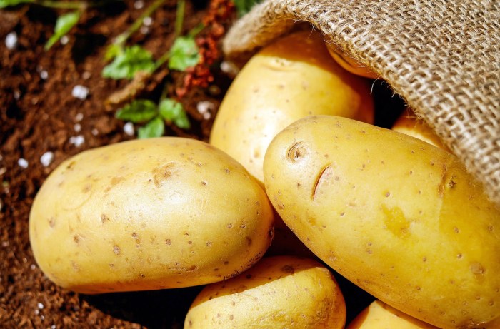 Potato elf Nabokov