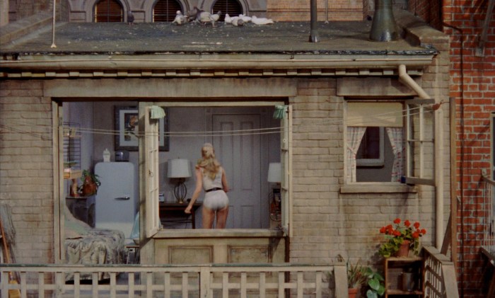 Ballerina by the window picture