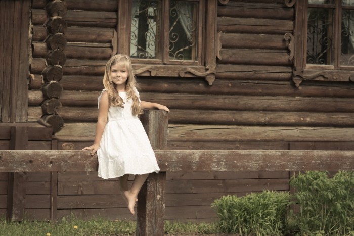 Sites with a house in the village of Pogobryka Moscow Region