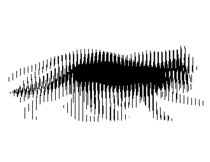 Hypnosis art warrior