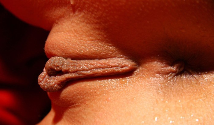 Beautiful pussy close -up