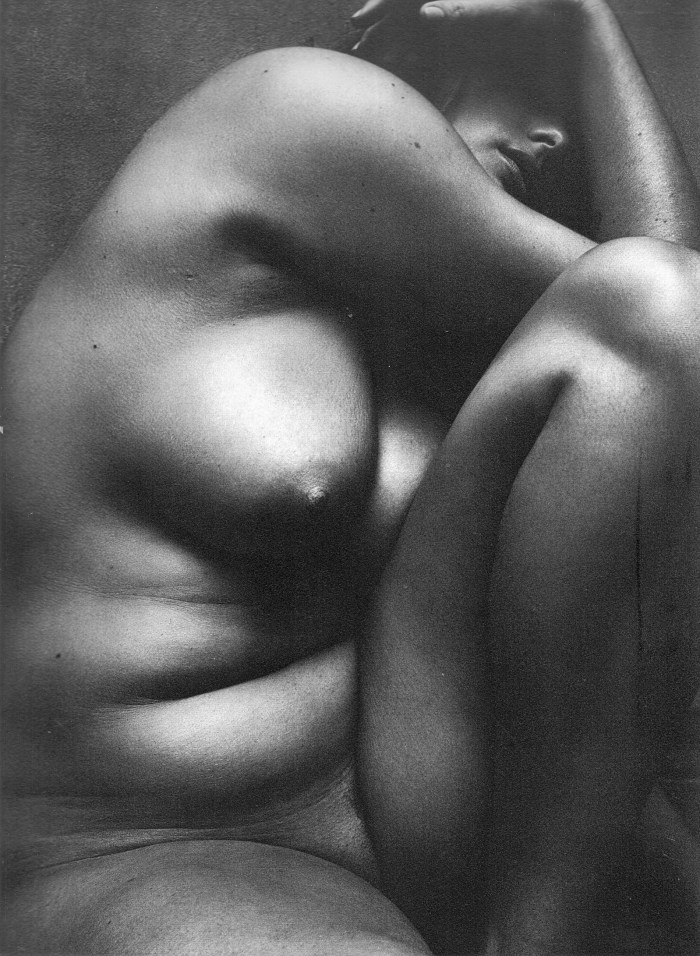 Drawings of naked fat women