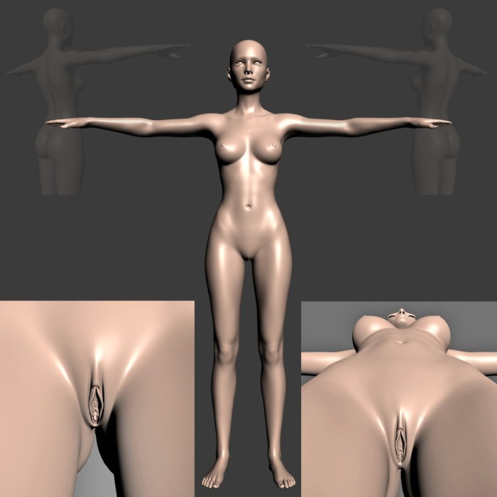 3d model girl boobs