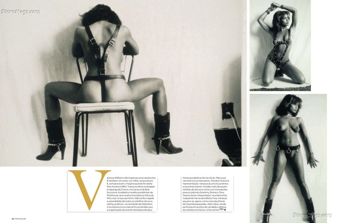 Vanessa Williams Penthouse