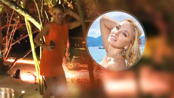 Tatyana Navka pornography