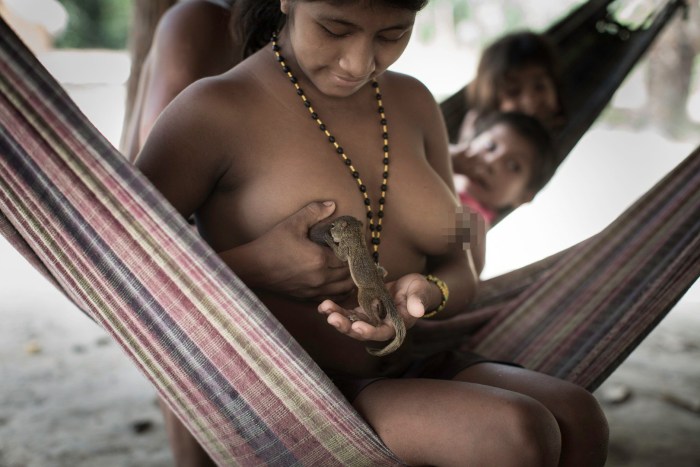 The wild tribes of the Amazon are non -contact