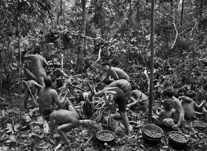 Fucking in the wild tribes of the Amazon