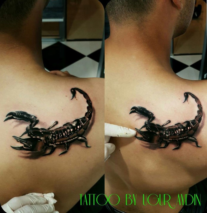 Tattoo Scorpio on the female body