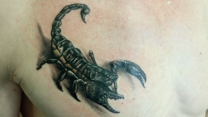 Tattoo Scorpio Member of the combat