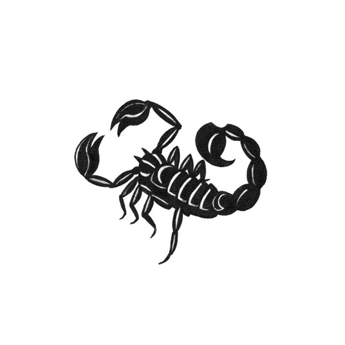Tattoo Scorpio for girls on the stomach