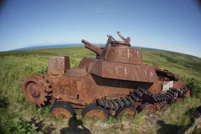 Type 3 Chi-Nu Kai