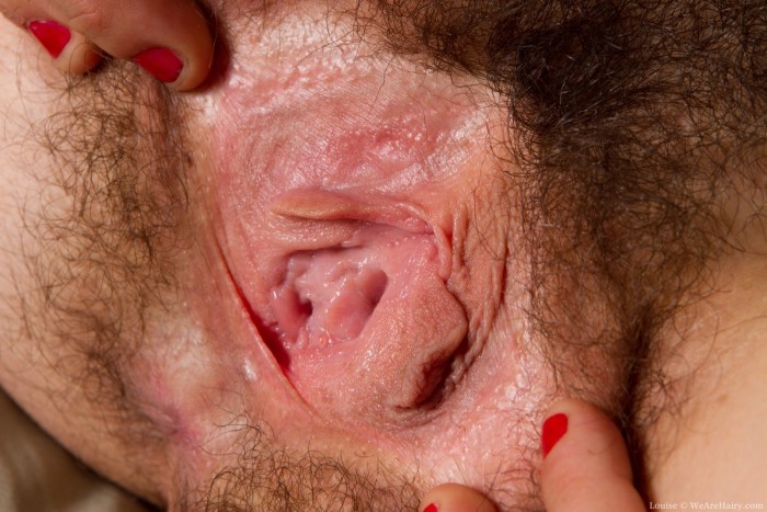 Hairy female crotch