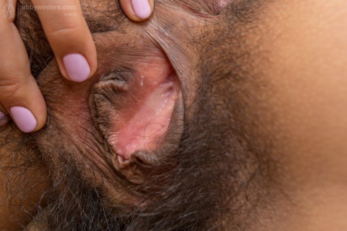 Naked female hairy pussies