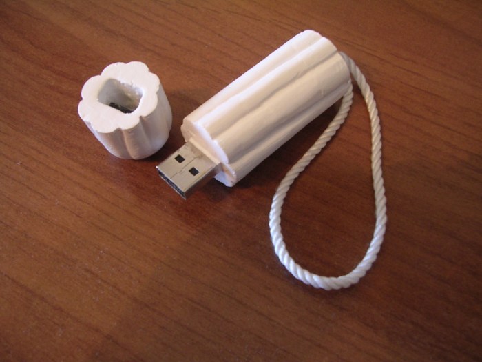 Flash drive dick
