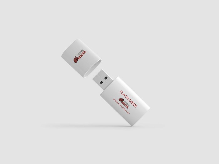 Flash drive with mechanical protection against recording by a switch