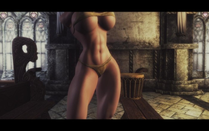 Skyrim erotic wallpaper