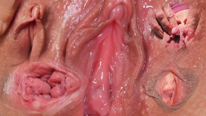 Women's vagina from the inside