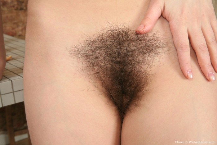 Hairy fluffy pubis