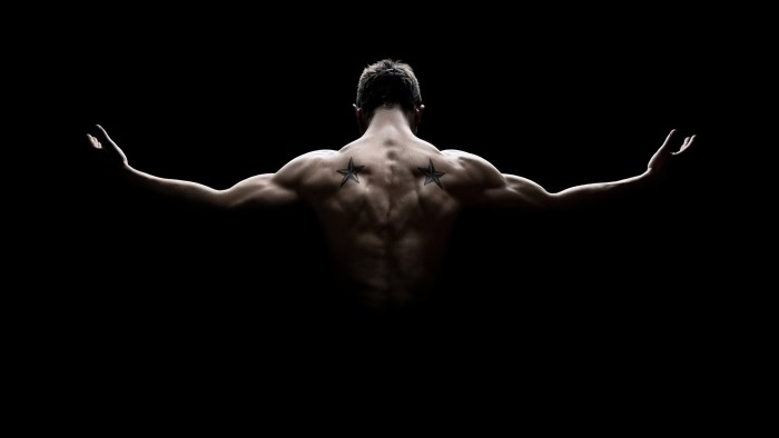 Male torso