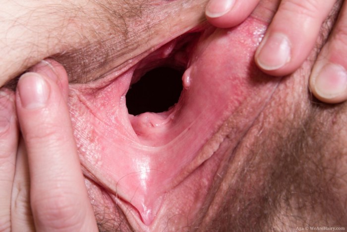 Inside the vagina close -up