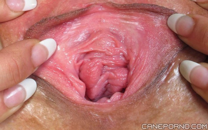 Enravity inside the vagina