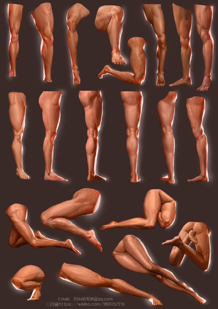 Human body from different angles