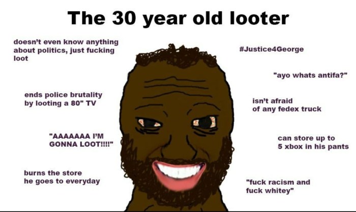 Niggers meme