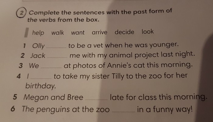 Complete the Sentences with the